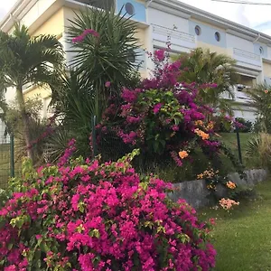 Les Hibiscus , Sainte-Luce Martinique